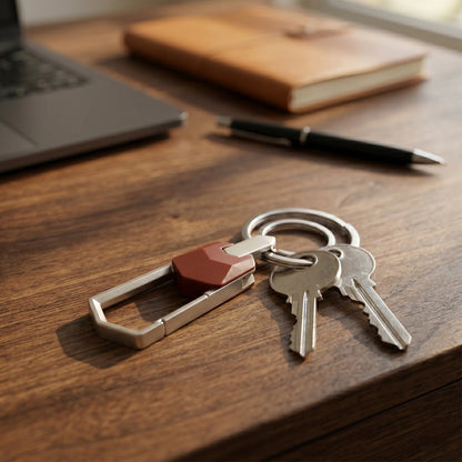 Premium Metal Carabiner Key Holder Clip 1 Pc