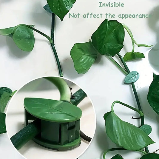 Plant Climbing Wall Clip,Self-Adhesive Vines Support Hooks for Indoor & Outdoor (10 Pcs Set)