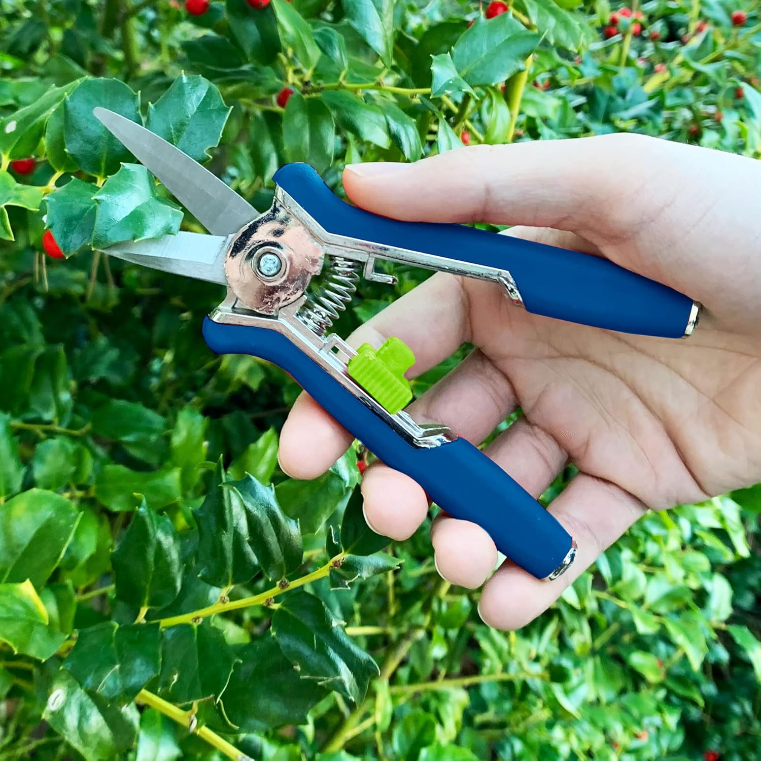 PruneXpert