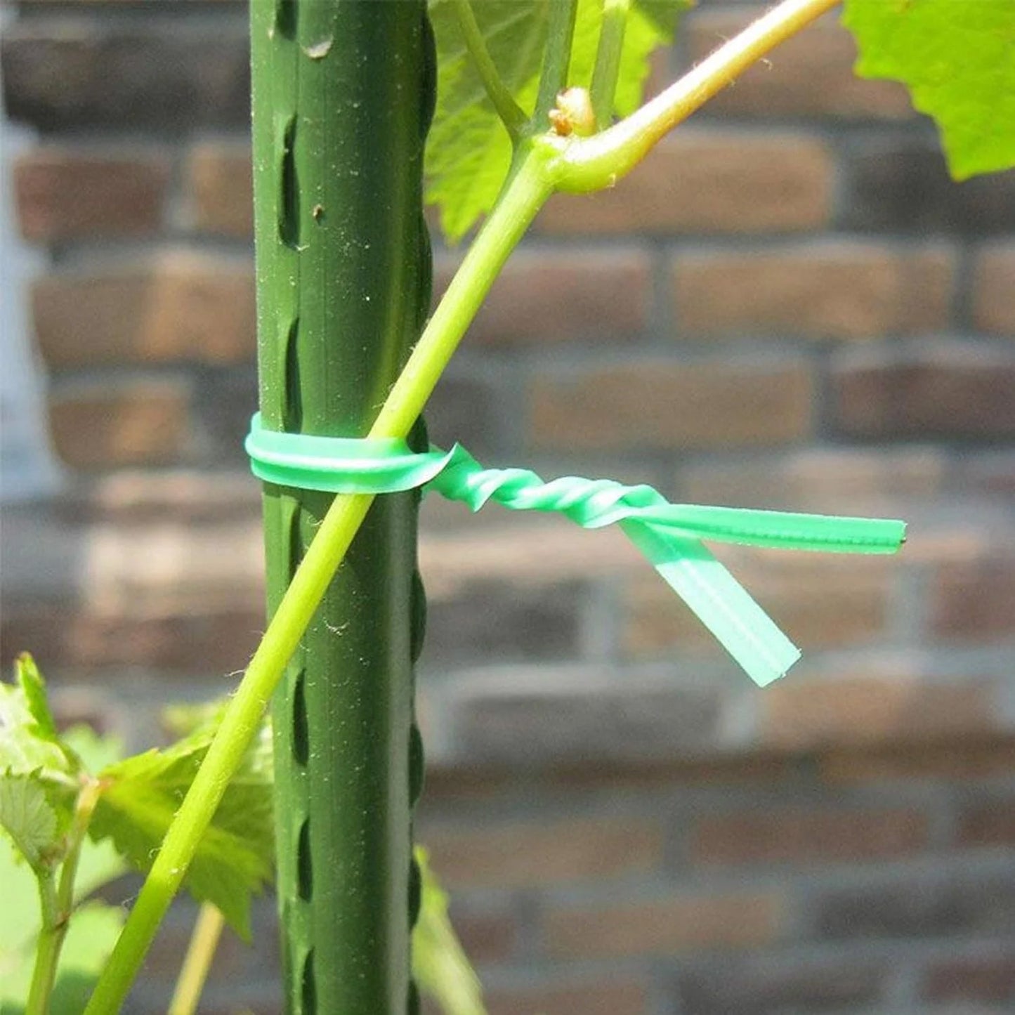 Twist Tie Wire