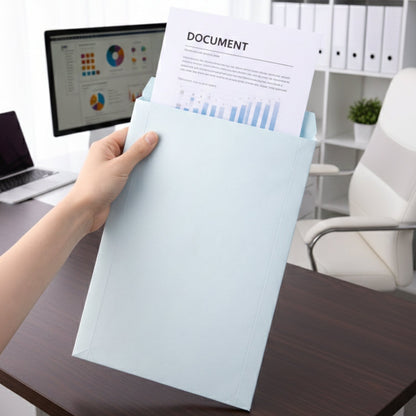 Document mailing envelope