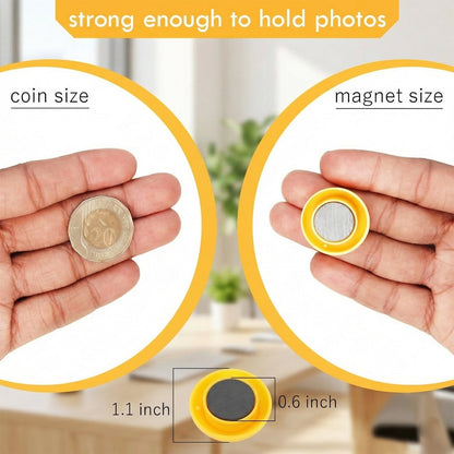 Colorful Round Refrigerator Magnets Set (12 Pc Set)