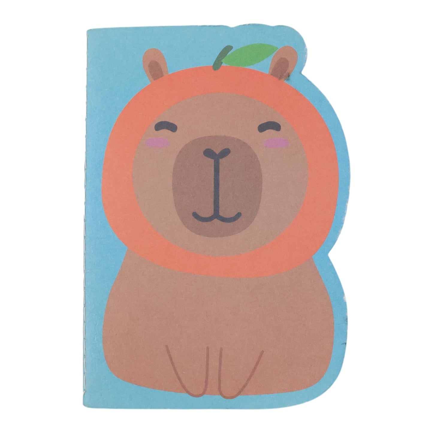 Kids daily use study notebook