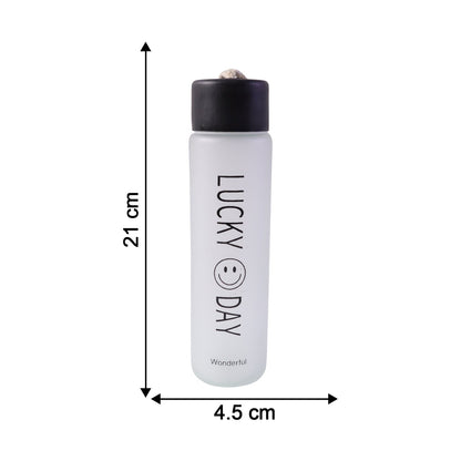 stylish frosted bottle drinkware