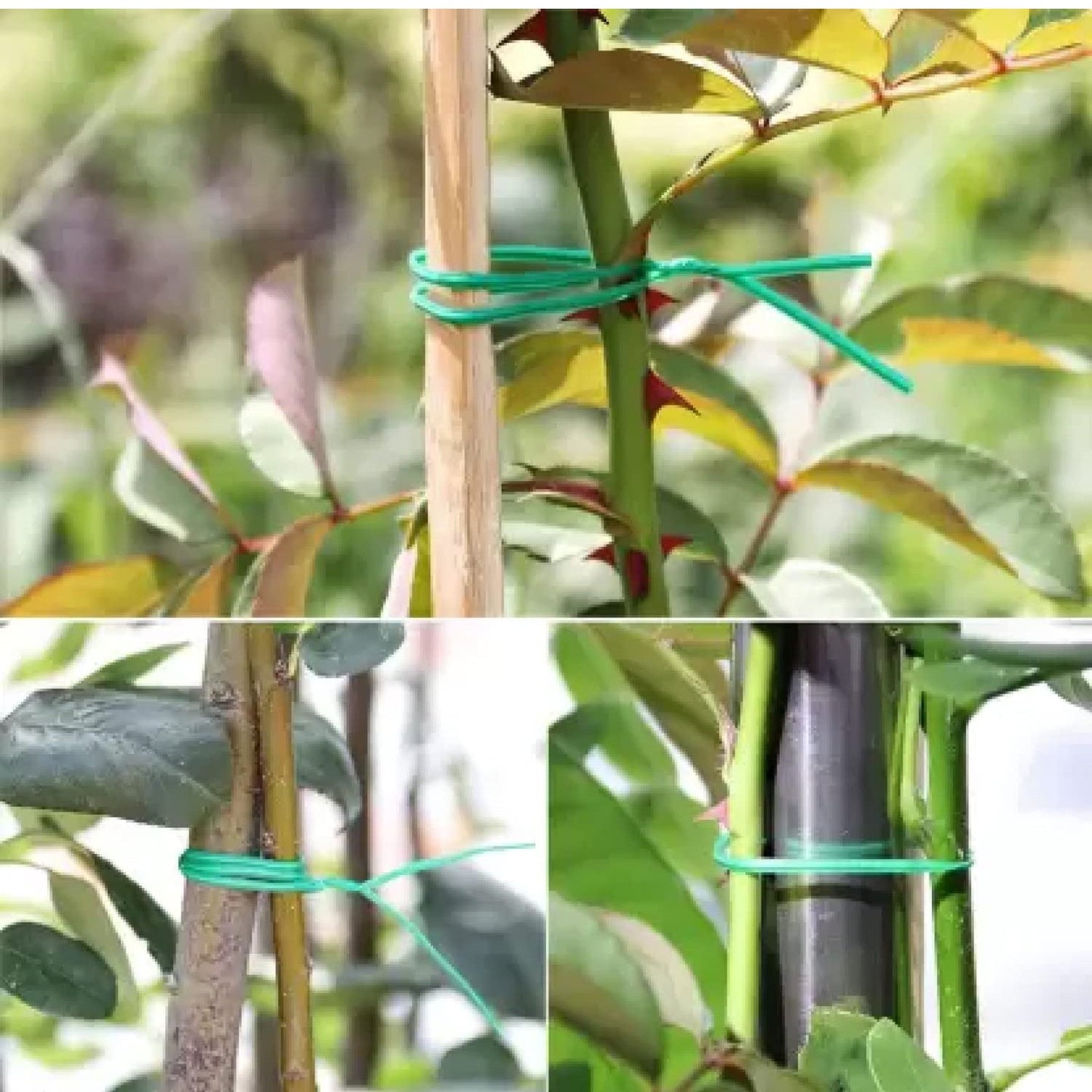 Garden Wire, Sturdy Plant Ties for Support, Garden Ties with Cutter (50 Mtr)