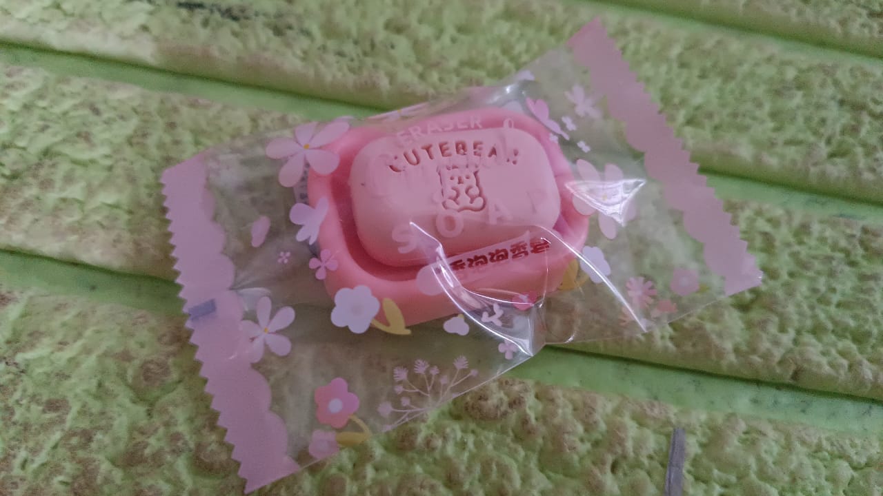 Cute Soap Shaped Erasers With Plastic Case (1 Pc / With Case)