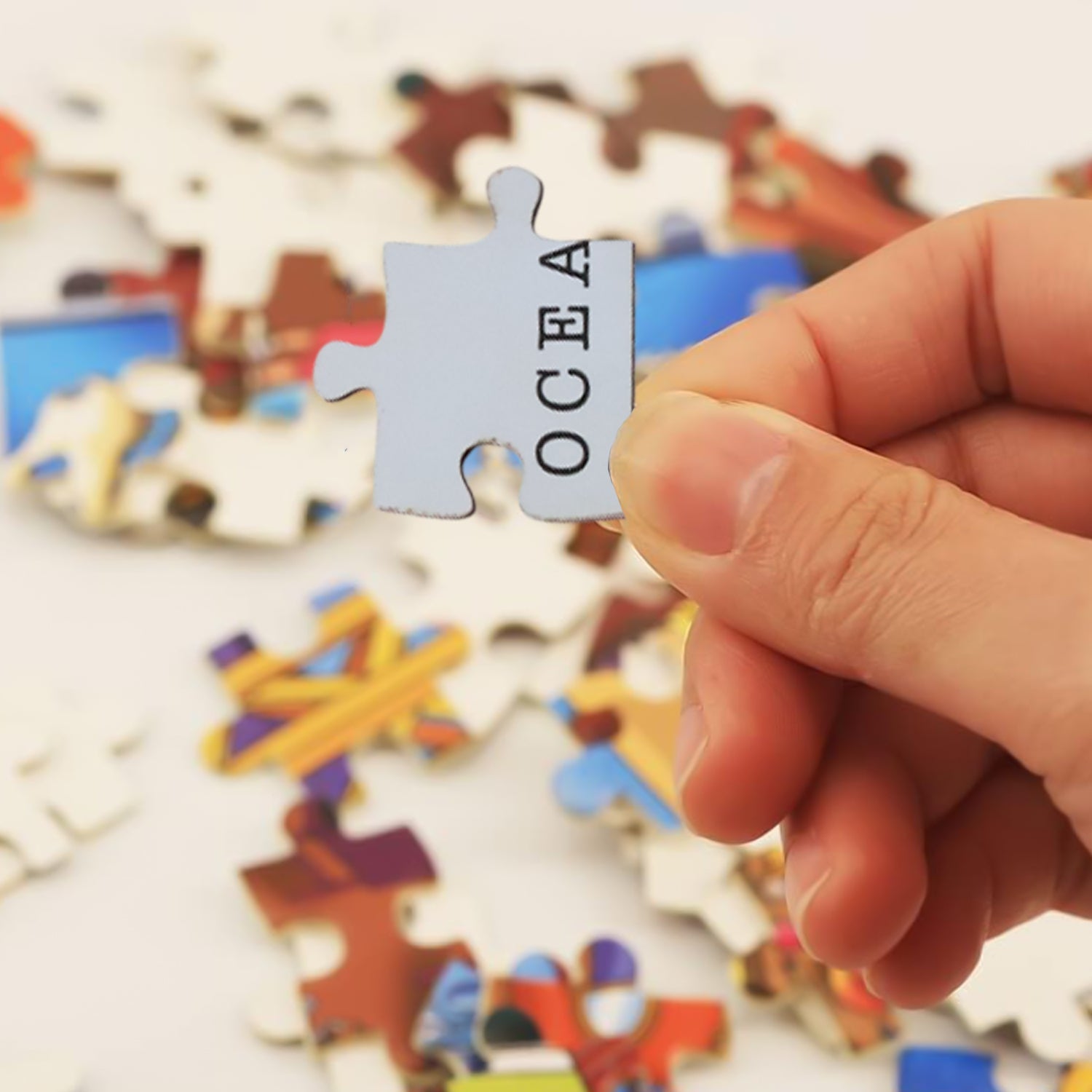 Map Puzzle