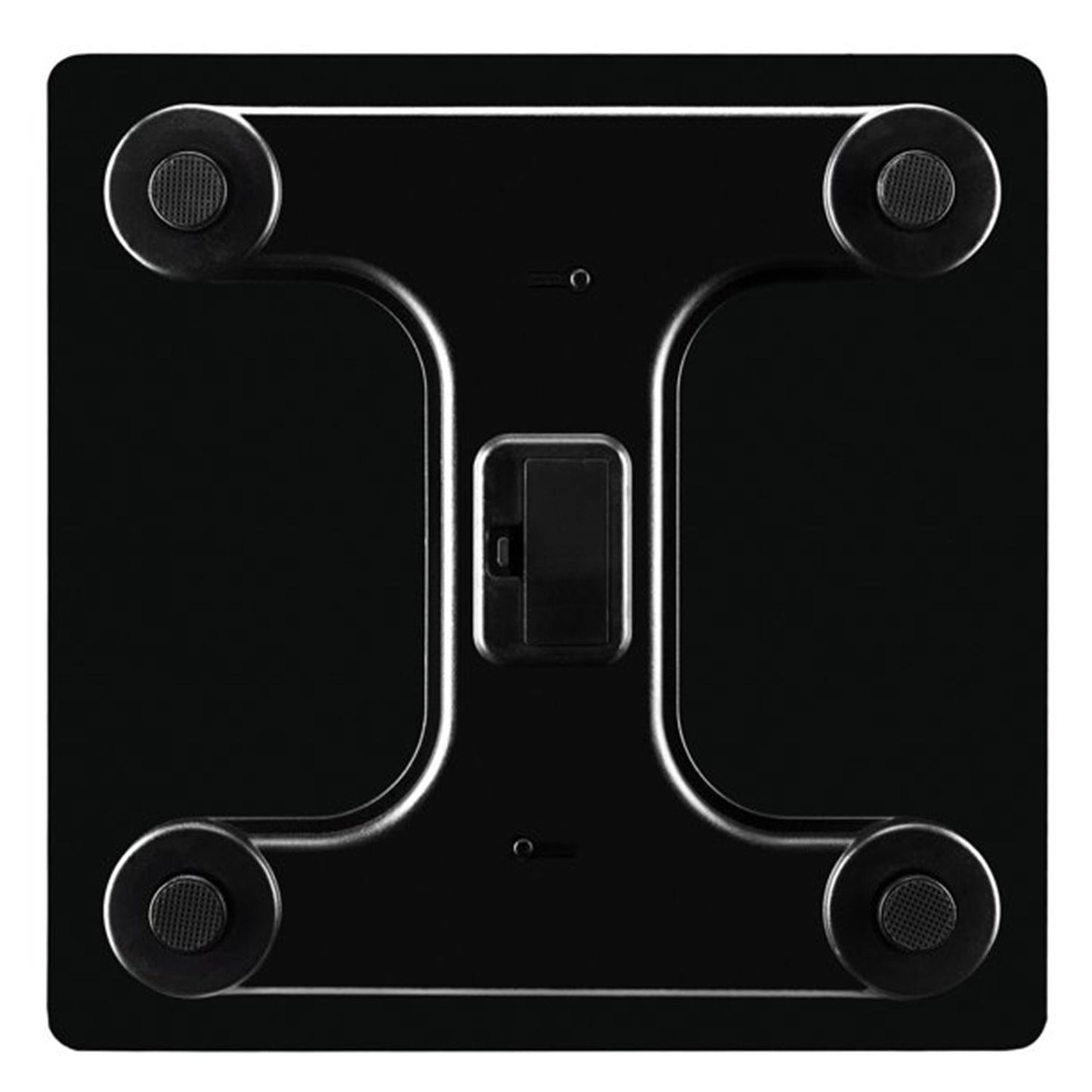 Body fat scale with BMI and muscle mass