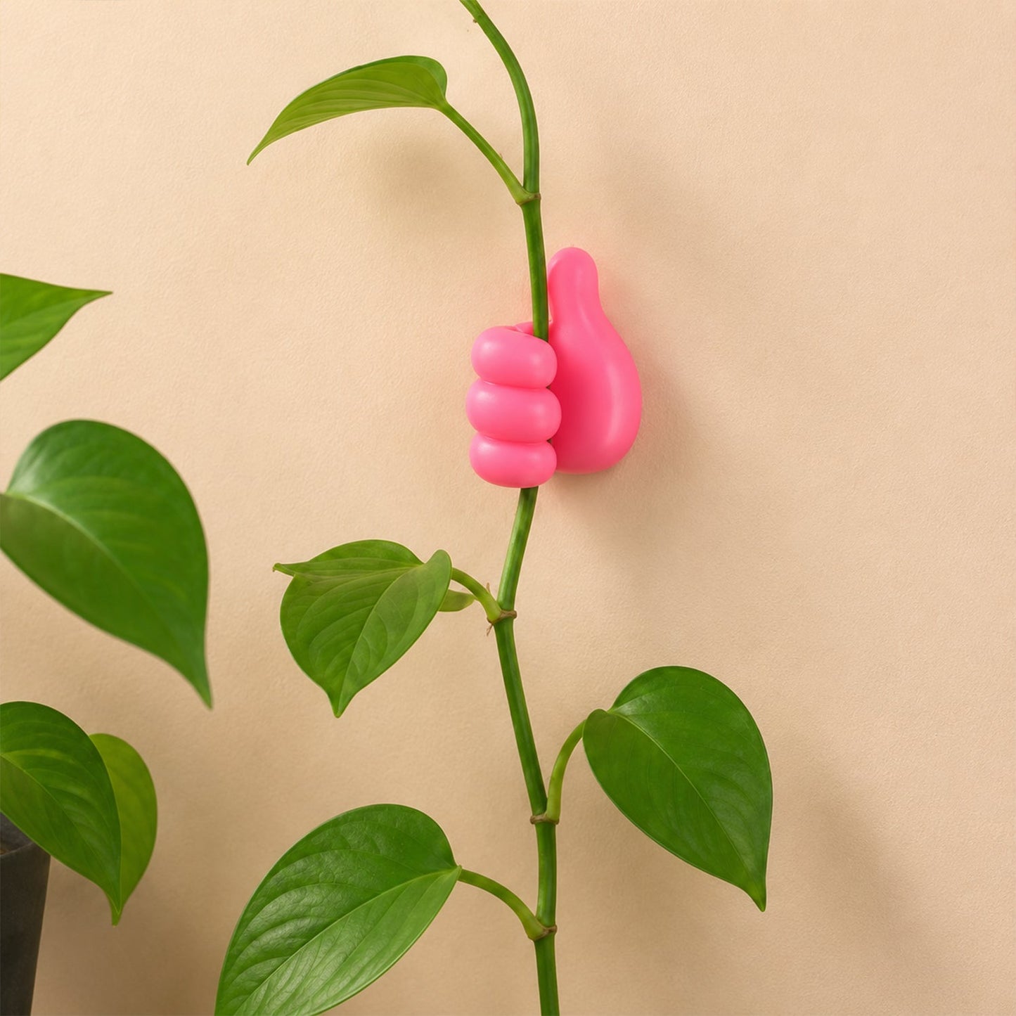 Thumb wire holder gripping plant stem on wall