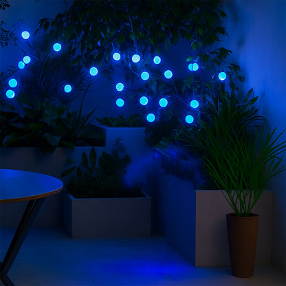 Solar LED Fiber Optic Garden Light - (1 Pc / Mix LED LIght)