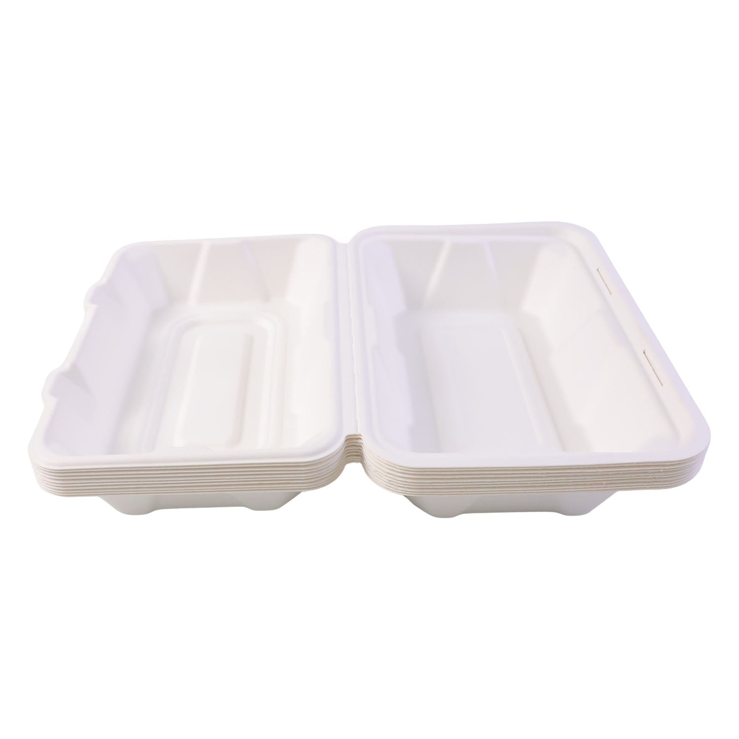 Eco-friendly bagasse food box close up