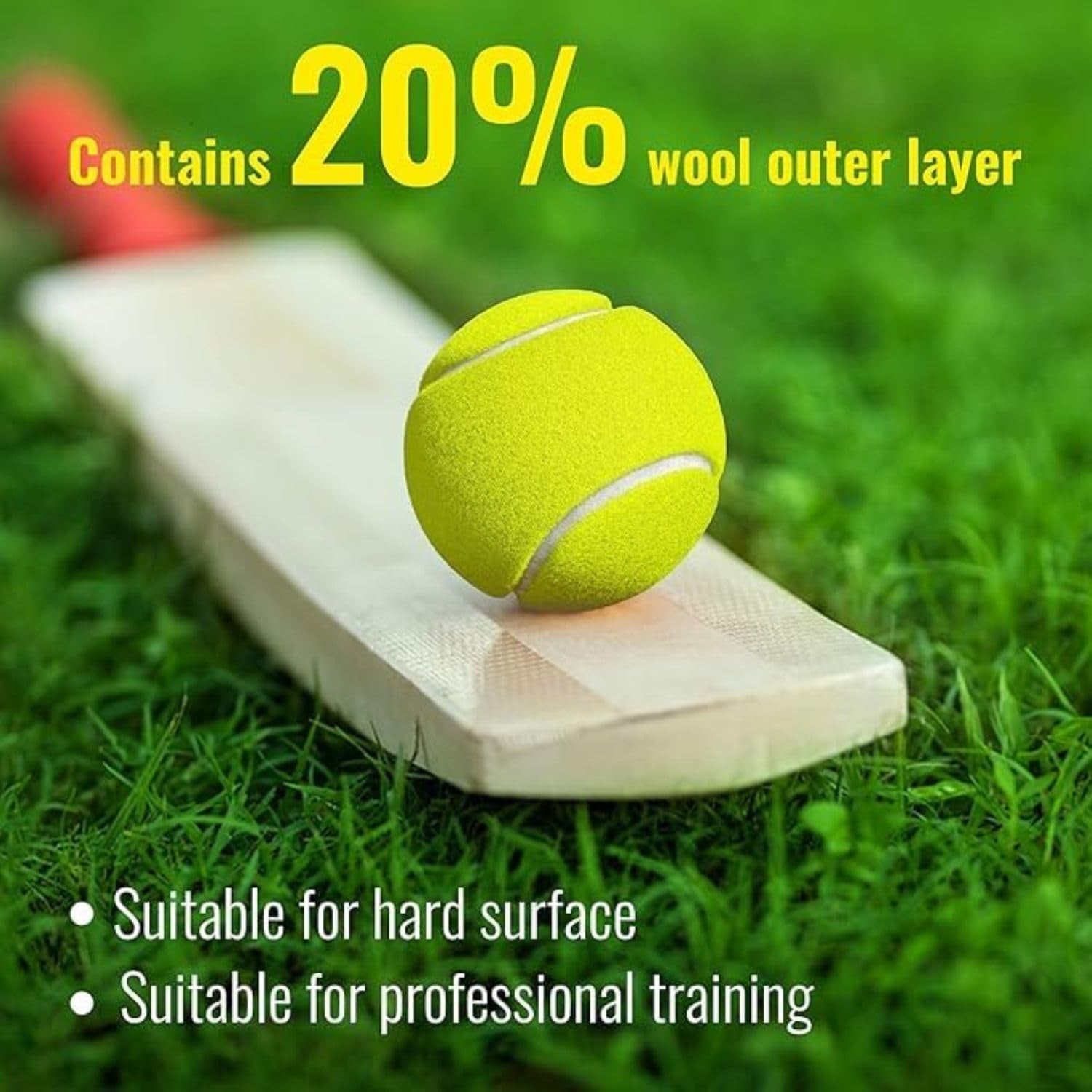 practice tennis ball pack
