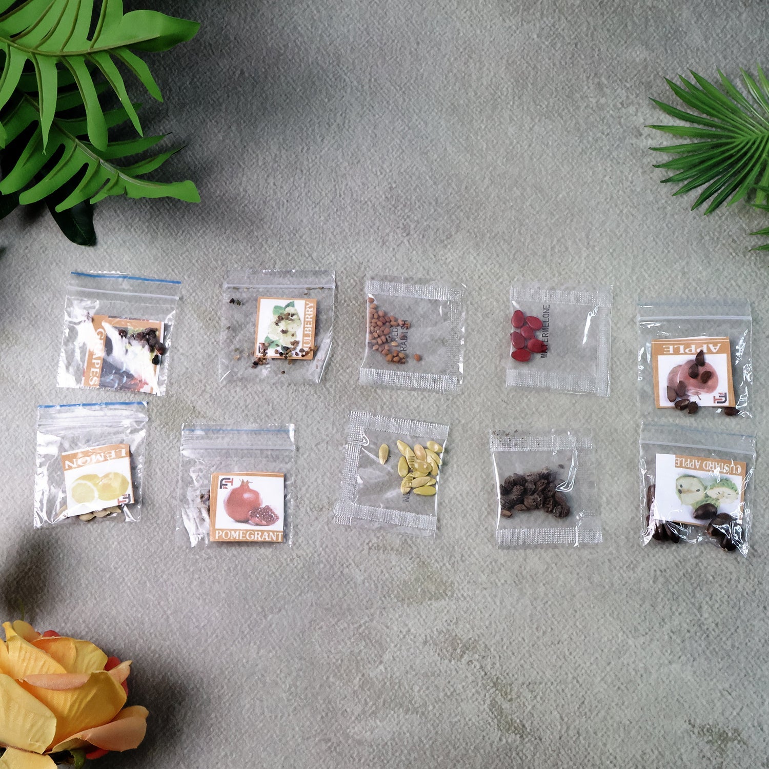 Fruit Seeds Mix