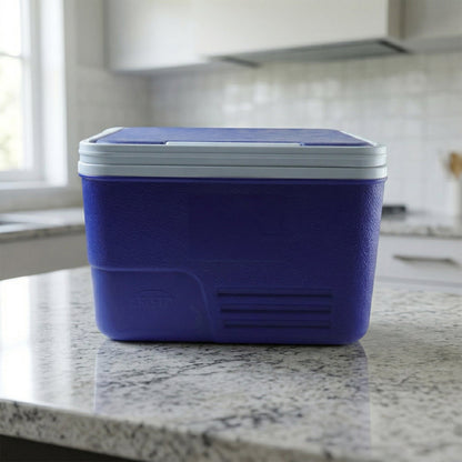 portable picnic ice box
