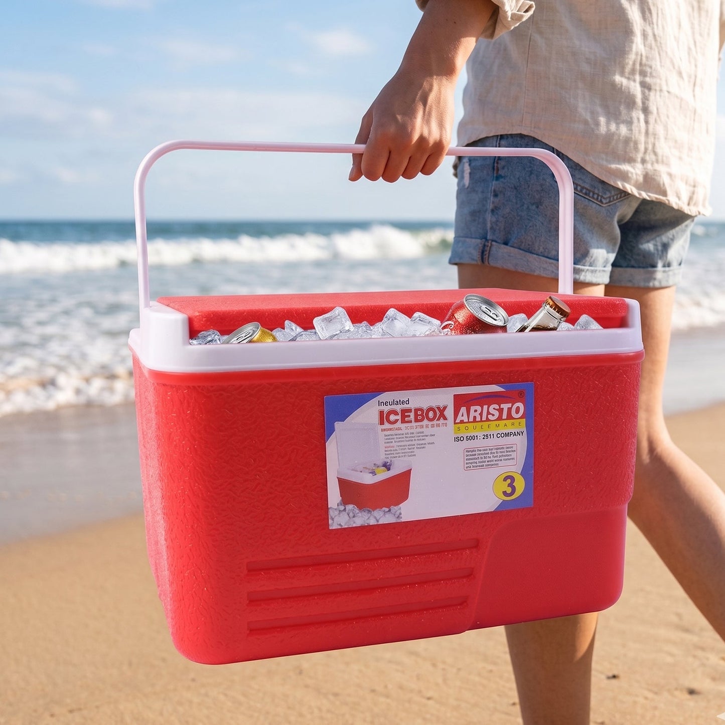 strong plastic ice storage box for travel