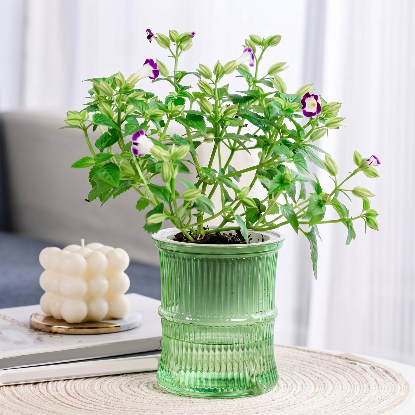 Watering Planter 