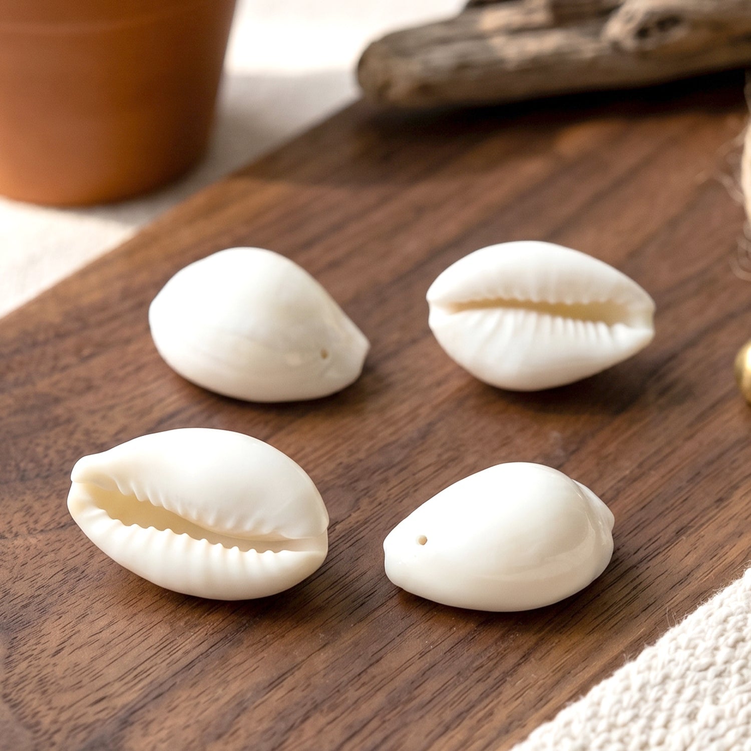 vastu cowrie shells for home use