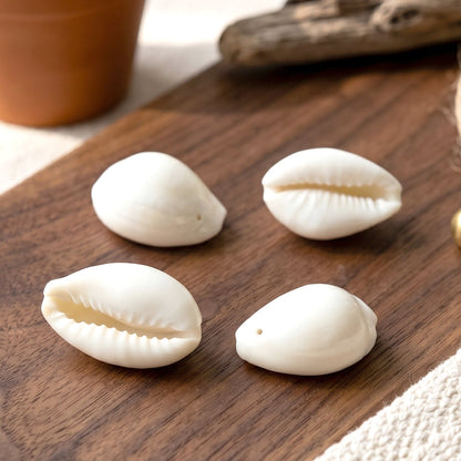 vastu cowrie shells for home use