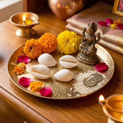 decorative kaudi shells for rituals