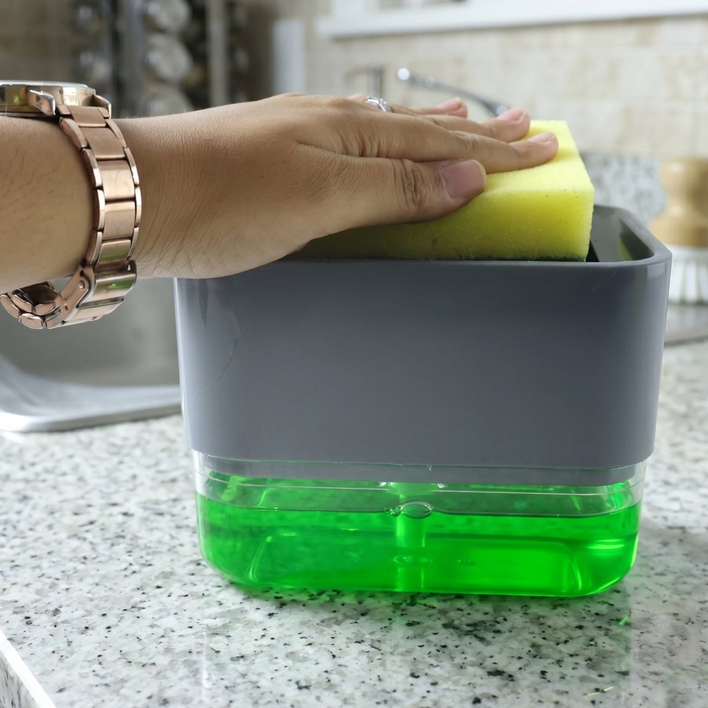Soap Dispenser with Sponge Holder (1 Set)